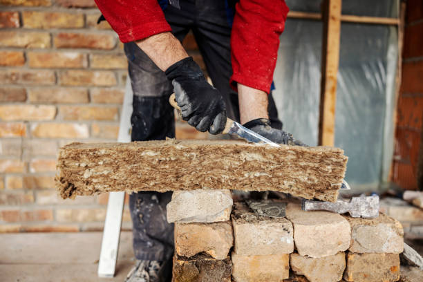 Best Attic Insulation Installation  in , MO